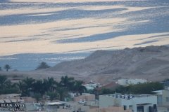 IMG_1346_02-12-2019_@ILAN_AVIV