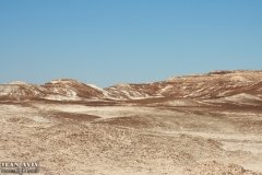 IMG_2203_05-12-2019_@ILAN_AVIV