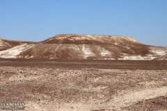 IMG_2324_05-12-2019_@ILAN_AVIV