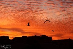 IMG_4058_11-12-2019_@ILAN_AVIV