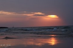 IMG_4781_14-11-2020_ILAN_AVIV