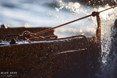 IMG_7302_08-01-2020_@ILAN_AVIV