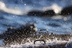 IMG_7312_08-01-2020_@ILAN_AVIV