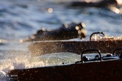 IMG_7324_08-01-2020_@ILAN_AVIV